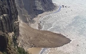 An aerial shot of the slip in Hawke's Bay.