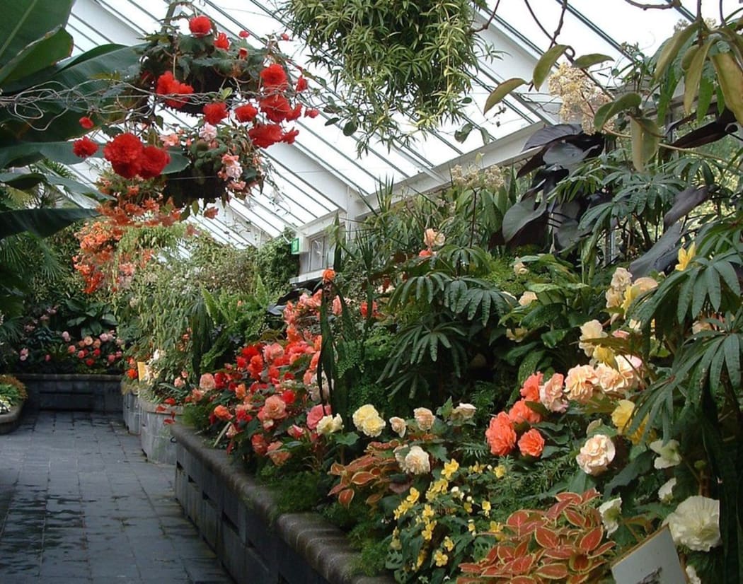 The Begonia House at Wellington Botanic Garden.