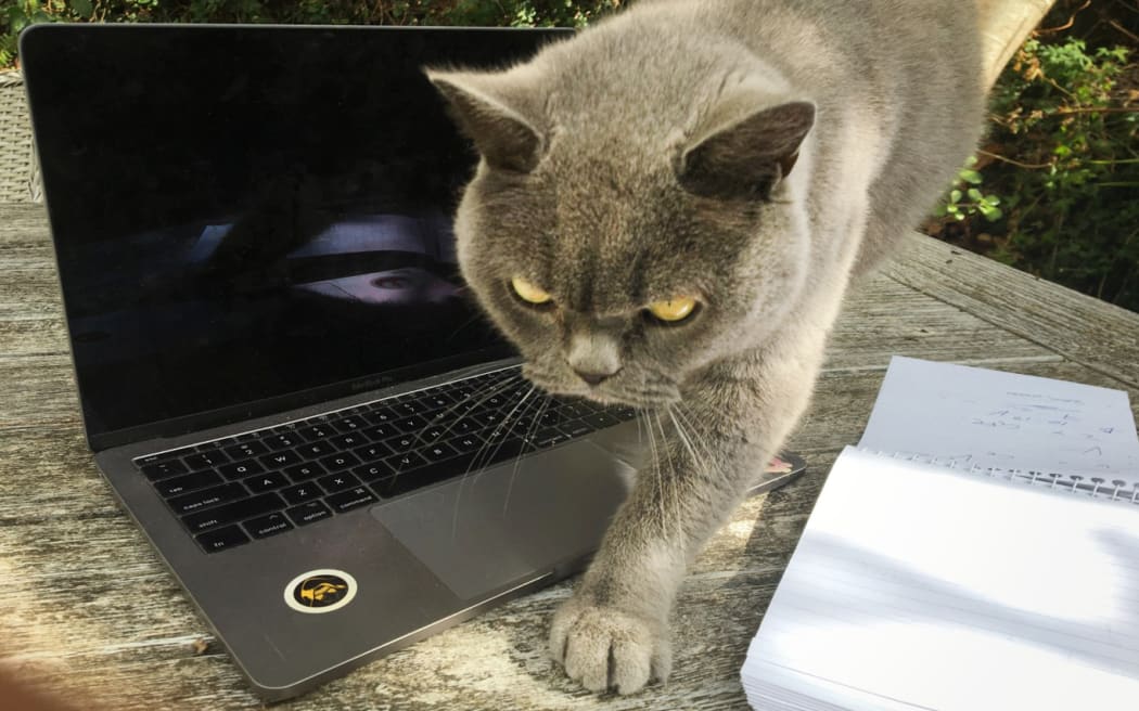 Boris puts the kibosh on another story