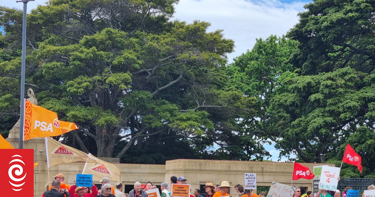 Health workers' strike: Hundreds in Auckland call for increased staffing, better pay