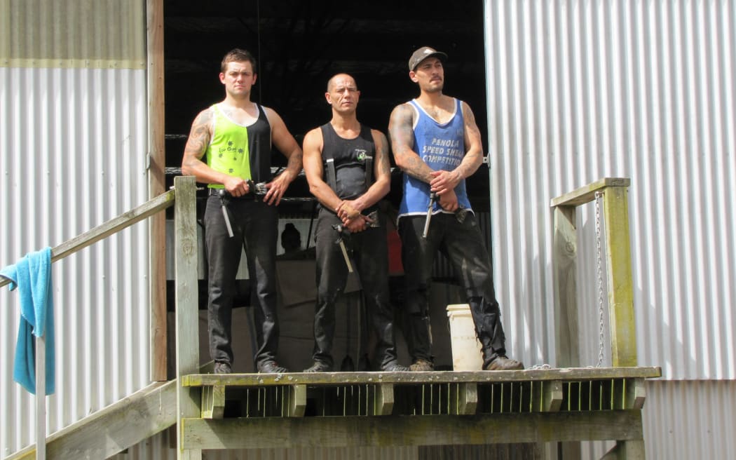 Hawke’s Bay shearers, from left Kalin Chrystal, Errol Chrystal and Shelford Wilcox at Big Hill Station.