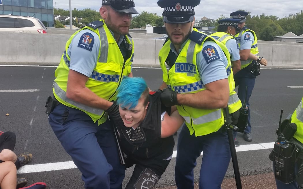Police remove a TPP protester from an Auckland motorway