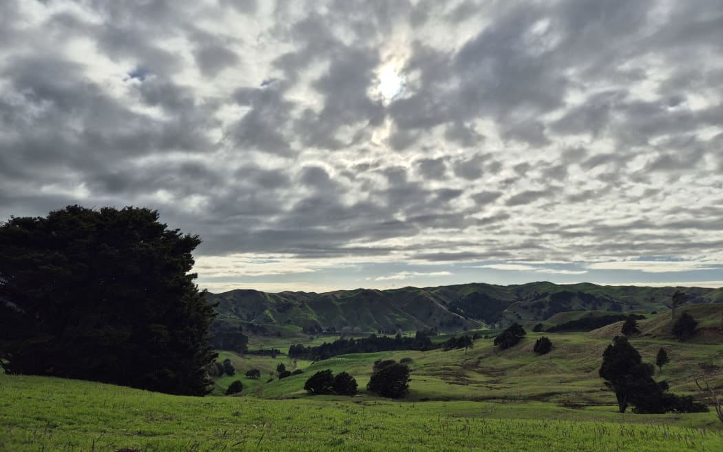 Last year the farm was named Waikato's Regional Supreme Winners at the Ballance Farm Environment Awards.