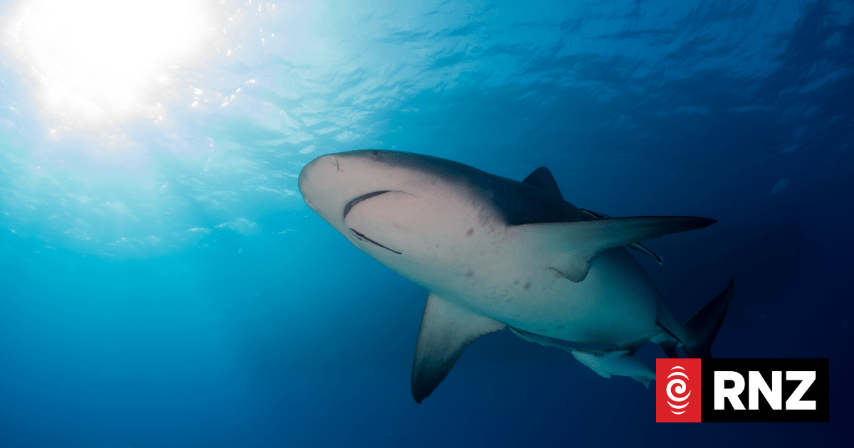 Climate change: Oceans running out of oxygen as temperatures rise | RNZ ...