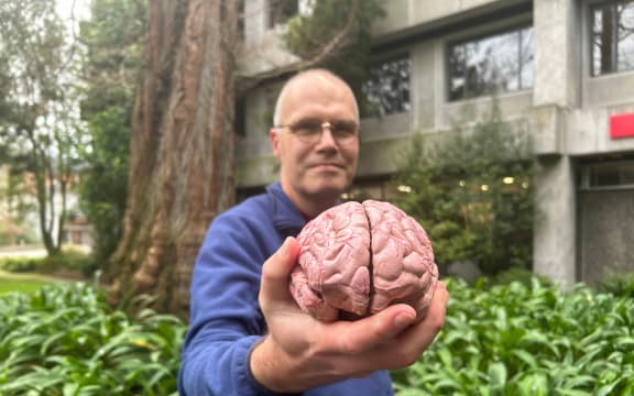 University of Canterbury Faculty of Health Adjunct Professor Richard Watts, who led  international research using imaging technology to reveal the largest differences yet discovered in the structures of male and female brains.