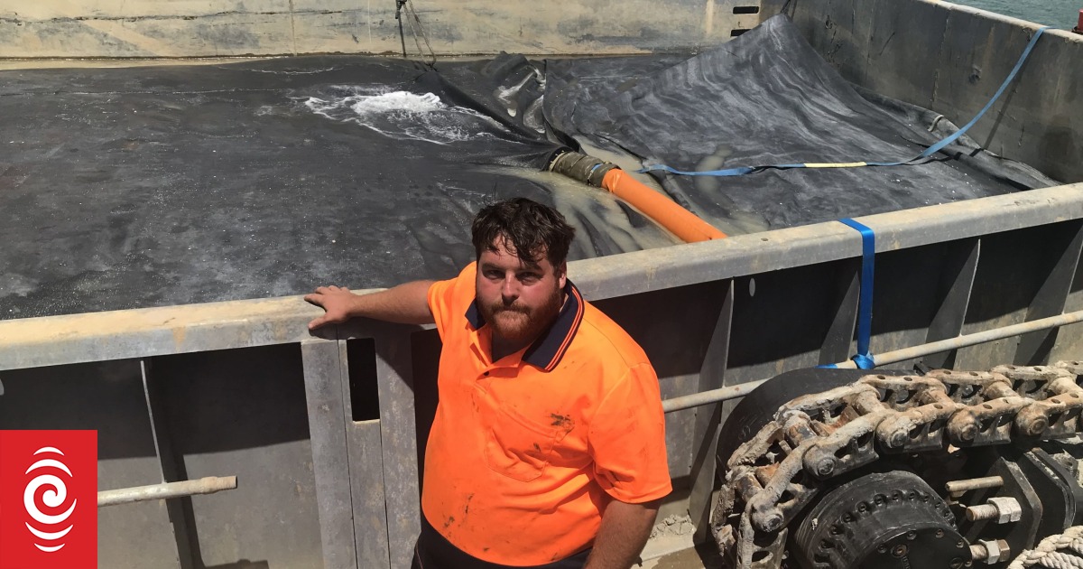 Bay of Islands' groundbreaking caulerpa dredging results expected in February - Vimarsana News