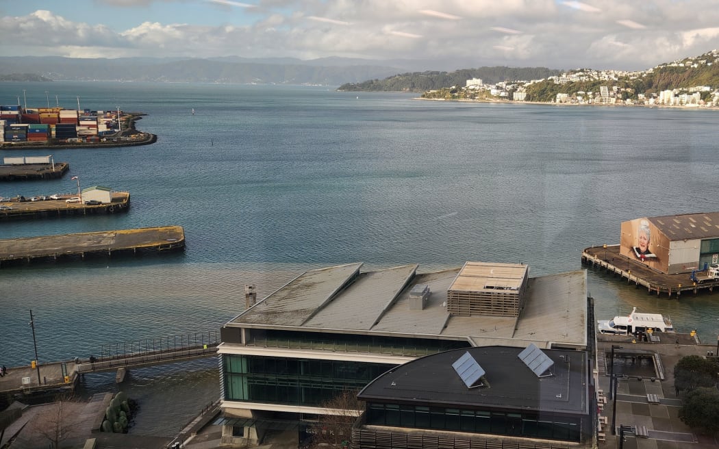 A burst water main in central Wellington has caused a street to flood and sent a large plume of brown out into the harbour.