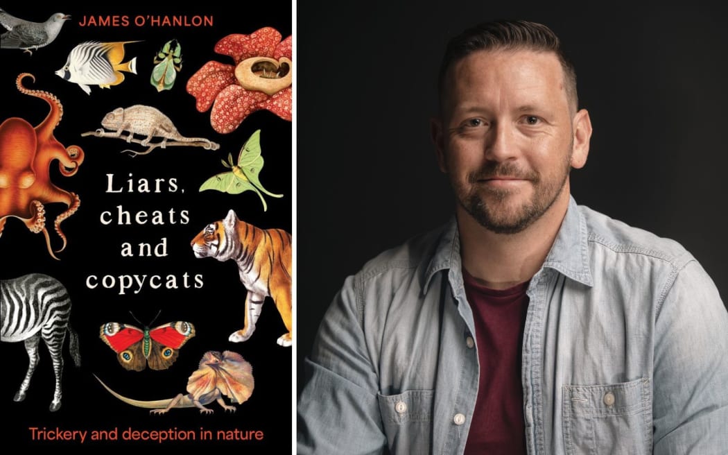 James O'Hanlon, author of 'Liars, Cheats and Copycats'