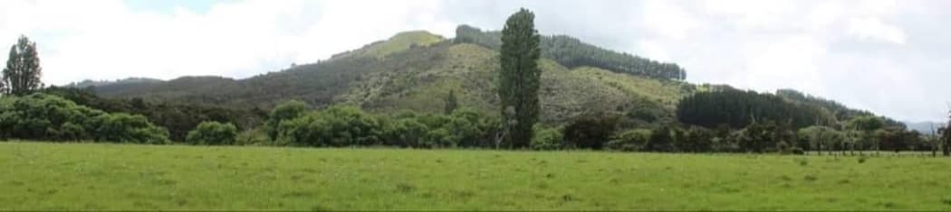 Whakarongorua maunga in the Utakura Valley in Hokianga.