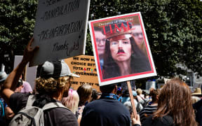 MPs are often treated poorly by protestors. One insult is so common it has its own academic description. Logicians describe the fallacy of comparison with Nazis as 'reductio ad Hitlerum'.