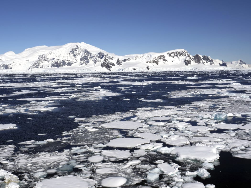 Pieces of free floating sea ice, also called drift ice or brash ice, in Wilhelmina Bay, along the west coast of Graham Land on the Antarctic Peninsula.
