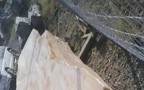 Slabs like this are exported to China as table tops. This photo was filed as evidence in court.