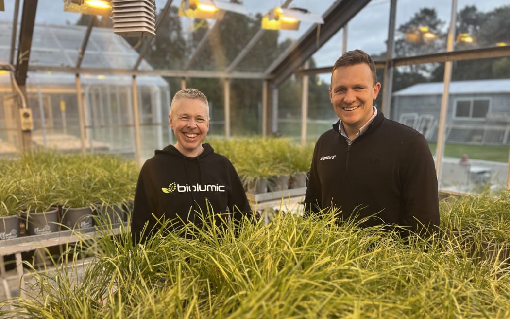 BioLumic's Jason Wargent (L) and David Macdonald, Head of Ventures at AgriZero, standing at BioLumic’s R&D Centre in Palmerston North with one of the increased-lipid ryegrass trials in progress.