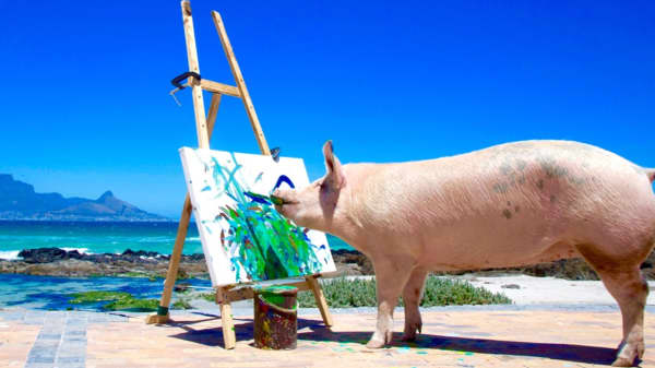 Pigcasso painting in an abstract style.