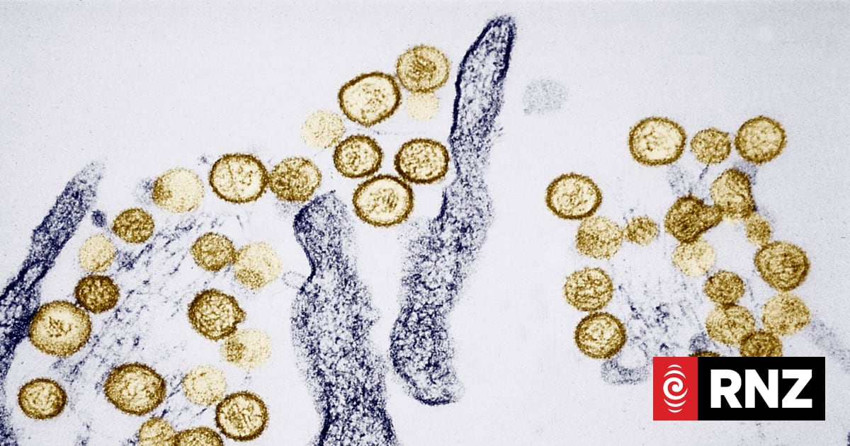 What is hantavirus and how does it spread? | RNZ
