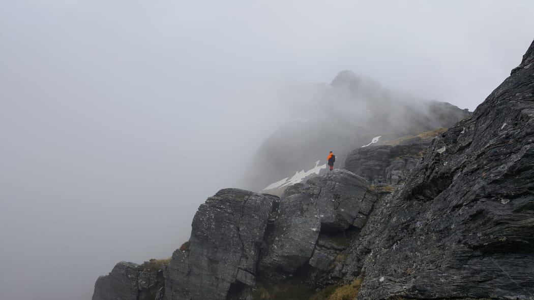 DOC ranger Amanda Sanders listening for rock wrens on Music Saddle in the Haast Range, South Westland.