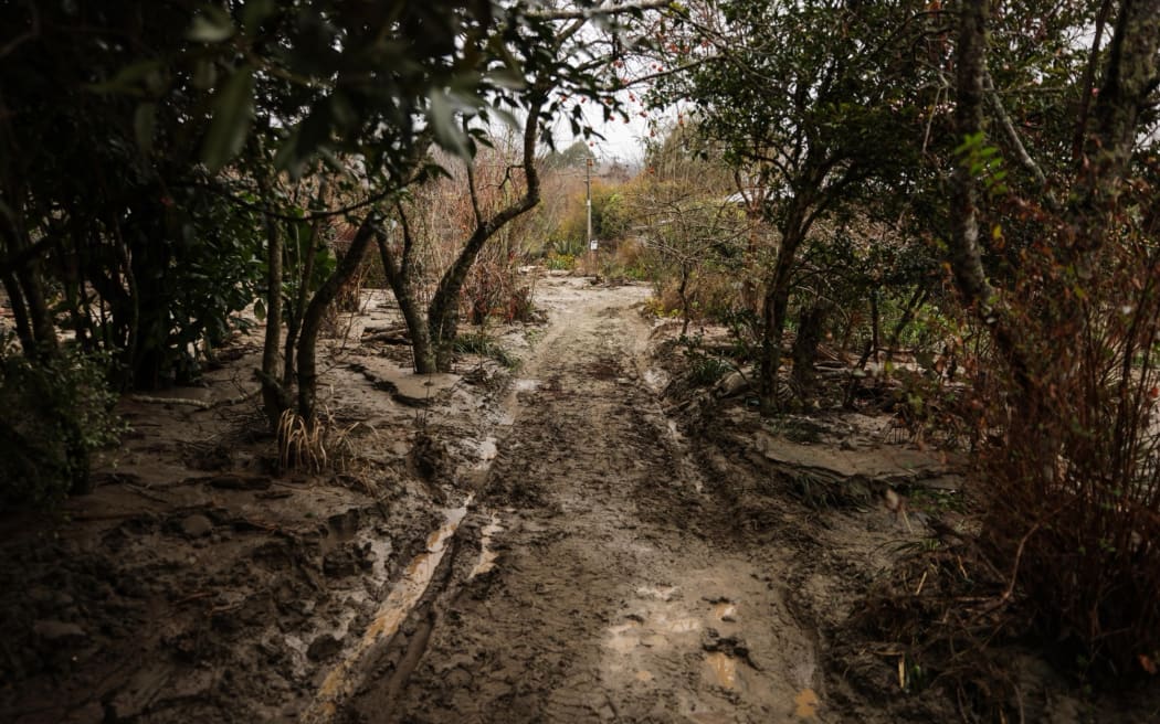 Silt damage on a property in Ngatimoti