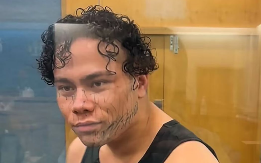 Monaro Kerr-Wilson, 20, in the dock of the Hamilton District Court on charges of theft, deception and driving offences.