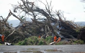 Inmates clear a large fallen tree in Rakiraki
