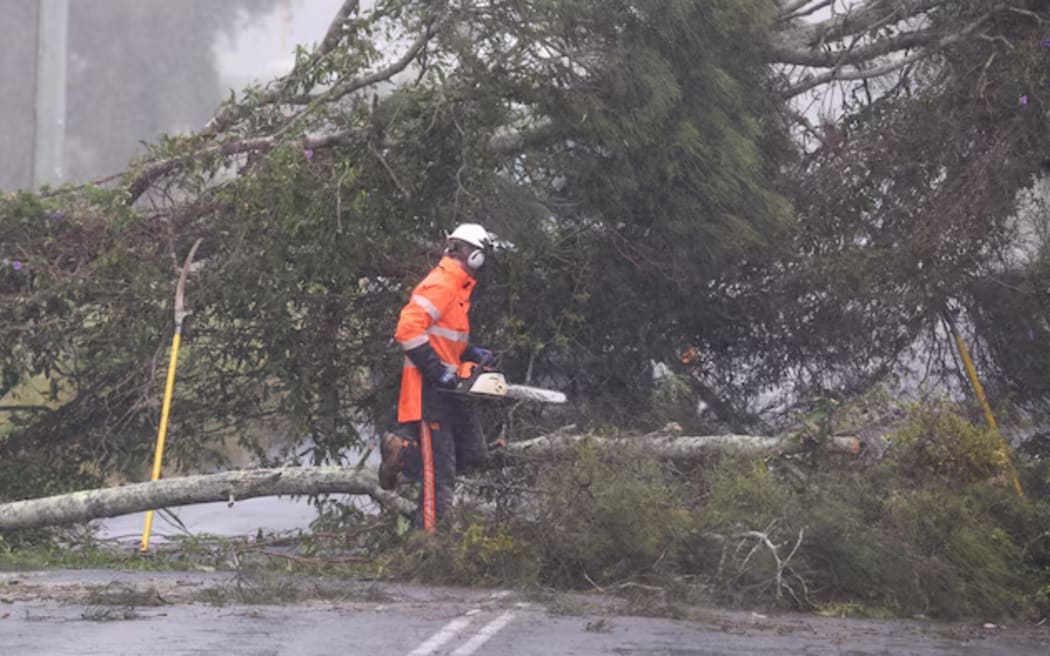 Workers are already out repairing damaged power lines from fallen trees thanks to early winds from Cyclone Alfred.