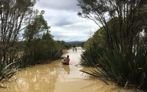 Stock rescued in south-east Auckland.