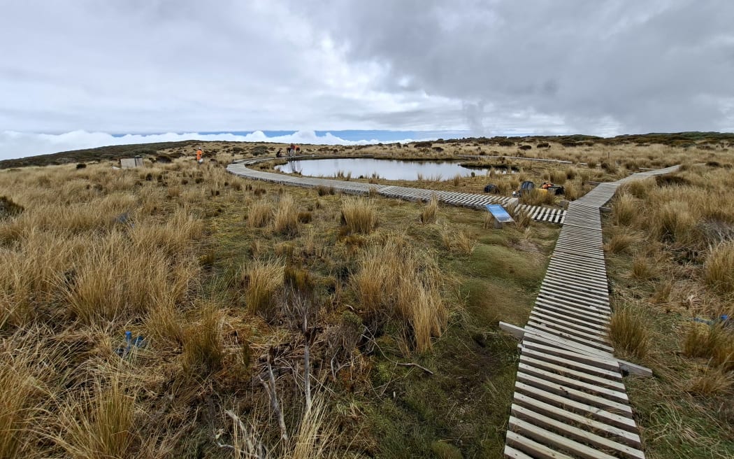 Pouākai Tarns boardwalk.