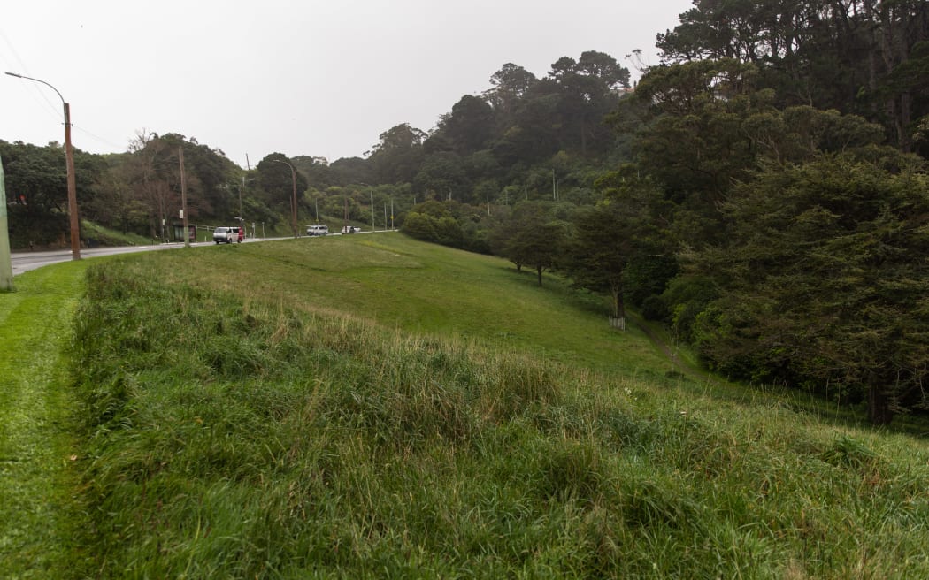 Wellington Low Mow site