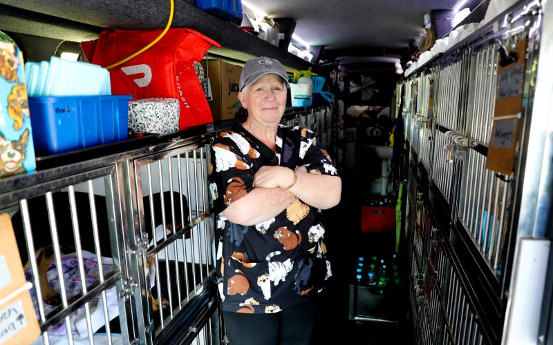 Paws on board: Inside the Pet Bus as it travels the country | RNZ