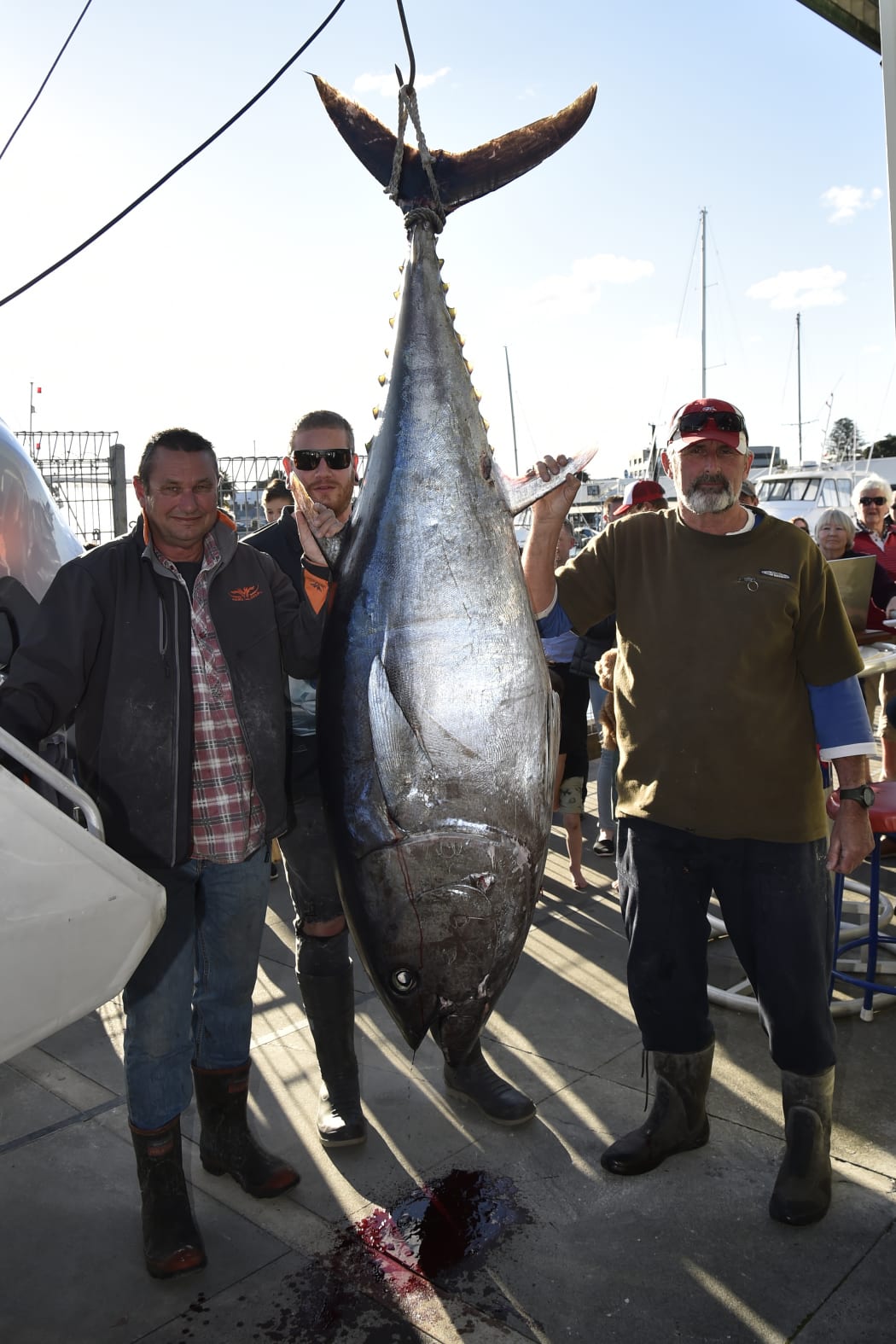 John Ballard, Matt Peters and Graeme McKaywith the 156.85kg blufin tuna.