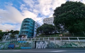 The Gordon Wilson flats in Wellington.