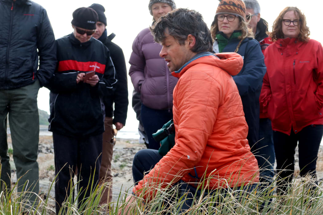 Dr Shane Orchard hopes spinifex grass will help create new dunes along parts of Marlborough's east coast.