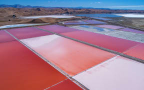 Dominion Salt's fields in Marlborough.