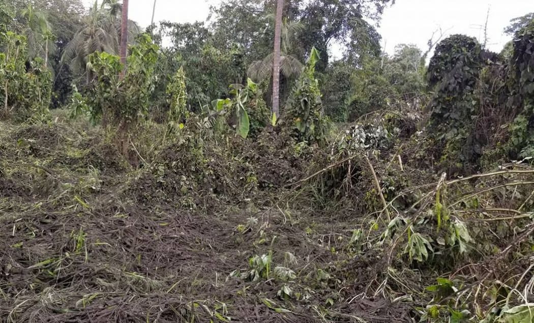 Damage to vegetation from heavy ashfall during continued eruptions of Vanuatu's Ambae volcano, March 2018