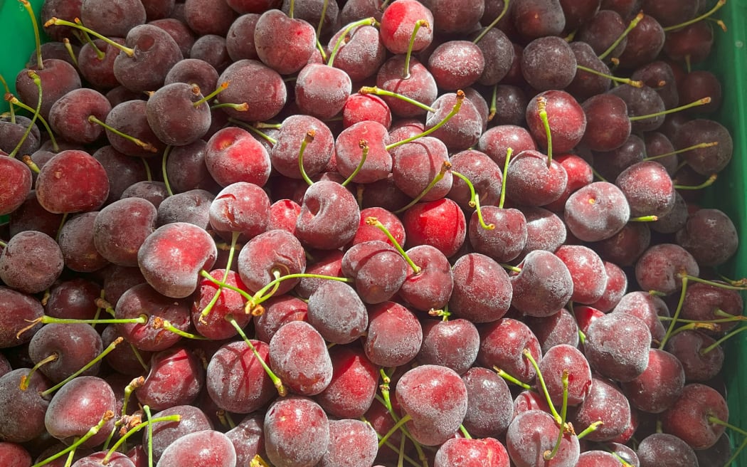 Frozen cherries from Eden Orchards