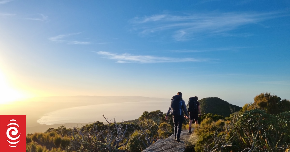 Great Walks booking system hits problems again - Vimarsana News