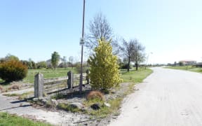 There were once about 500 houses in the red zoned suburb of Brooklands - now only about 20 remain