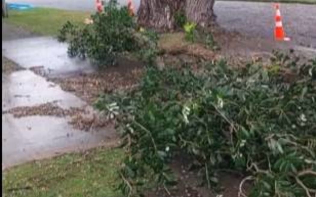 Fallen tree narrowly misses Lower Hutt woman during storms.
