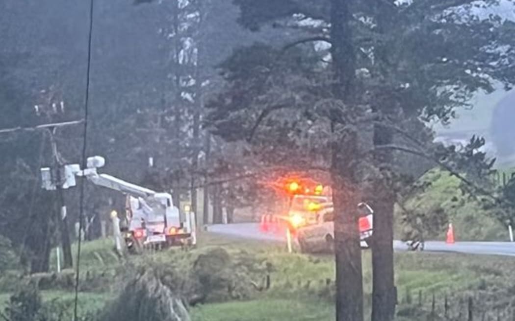 Northpower crews are dealing damage to power lines from trees.