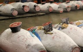 tuna