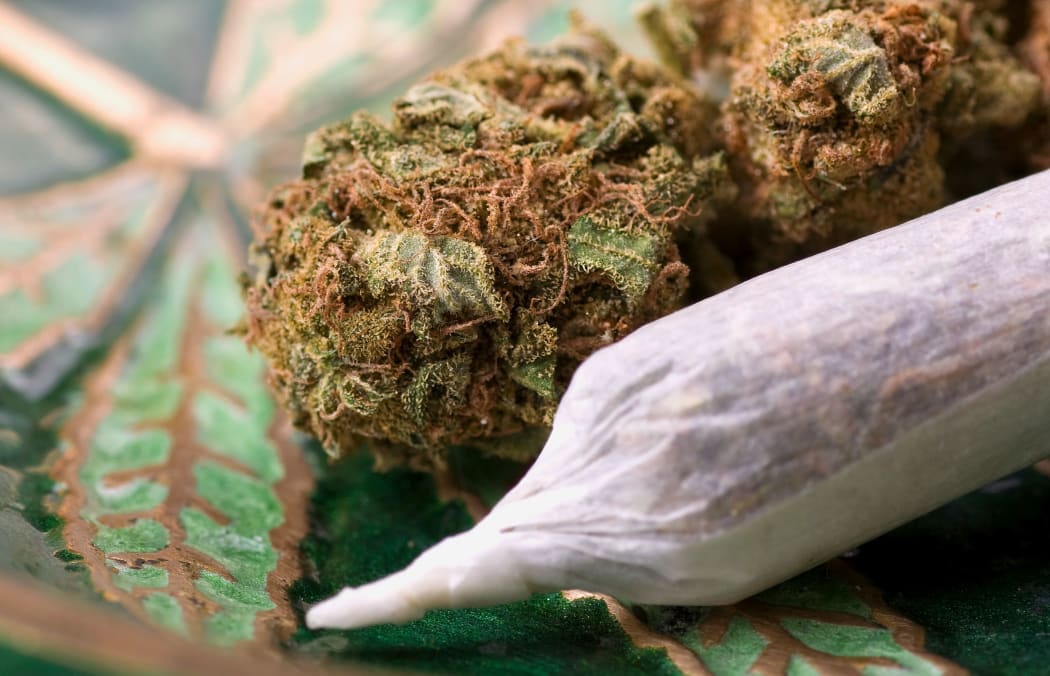 closeup of dried marijuana and handmade cigarette in ashtray