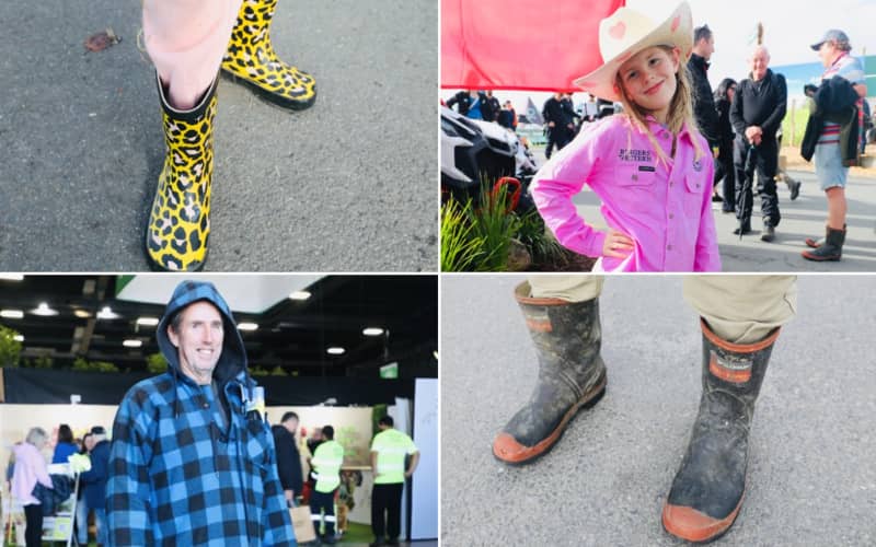 A composite of images showcasing the fashion at Fieldays 2025, including gumboots, a girl wearing a Western style hat, and a man in a 25-year-old bushshirt.