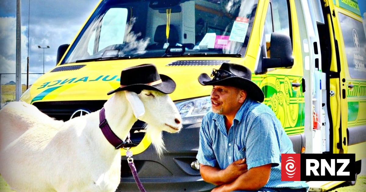The G.O.A.T: Inside an Auckland man's therapeutic mission with his herd