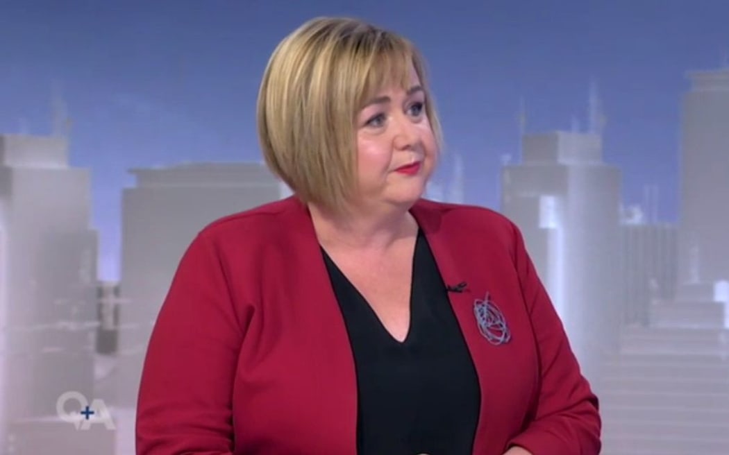 Megan Woods on TVNZ's Q+A