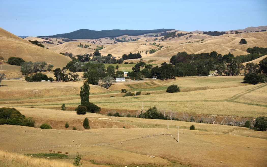 Dry farm land in Wairarapa, east of Masterton.