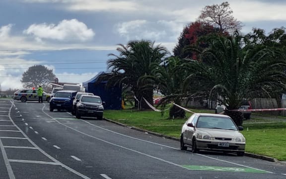 Peter Snell Road, Ruakākā.