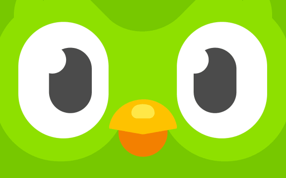 Duolingo has over 300 million users worldwide.