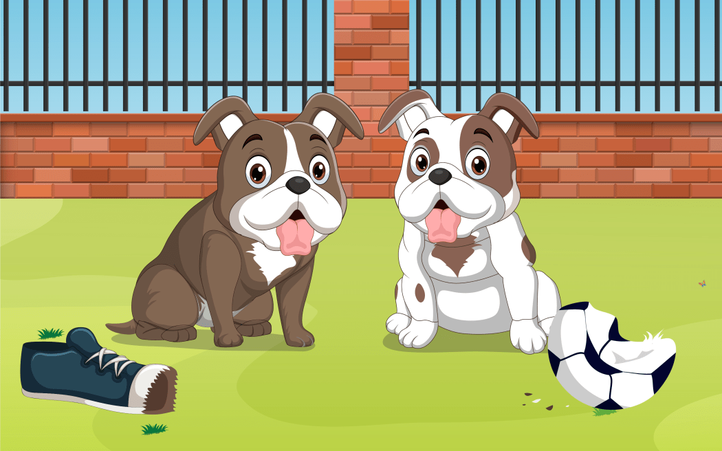 Two of the dogs who made the cut for the book, Bronx and Kratos.
