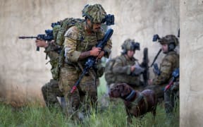 An Australian Army Dog Handler from the 3rd Combat Engineer Regiment with Detection Dog 'Kit' during a live breaching and detection dog serial on exercise Brolga Walk at Townsville Field Training Area, Queensland. *** Local Caption *** The Australian Army's 3rd Brigade deployed to the Townsville Field Training Area to conduct Exercise Brolga Walk. The exercise encompassed all direct command units of the 3rd Brigade, with focus on honing core skills as personnel prepared for their major activity later in the