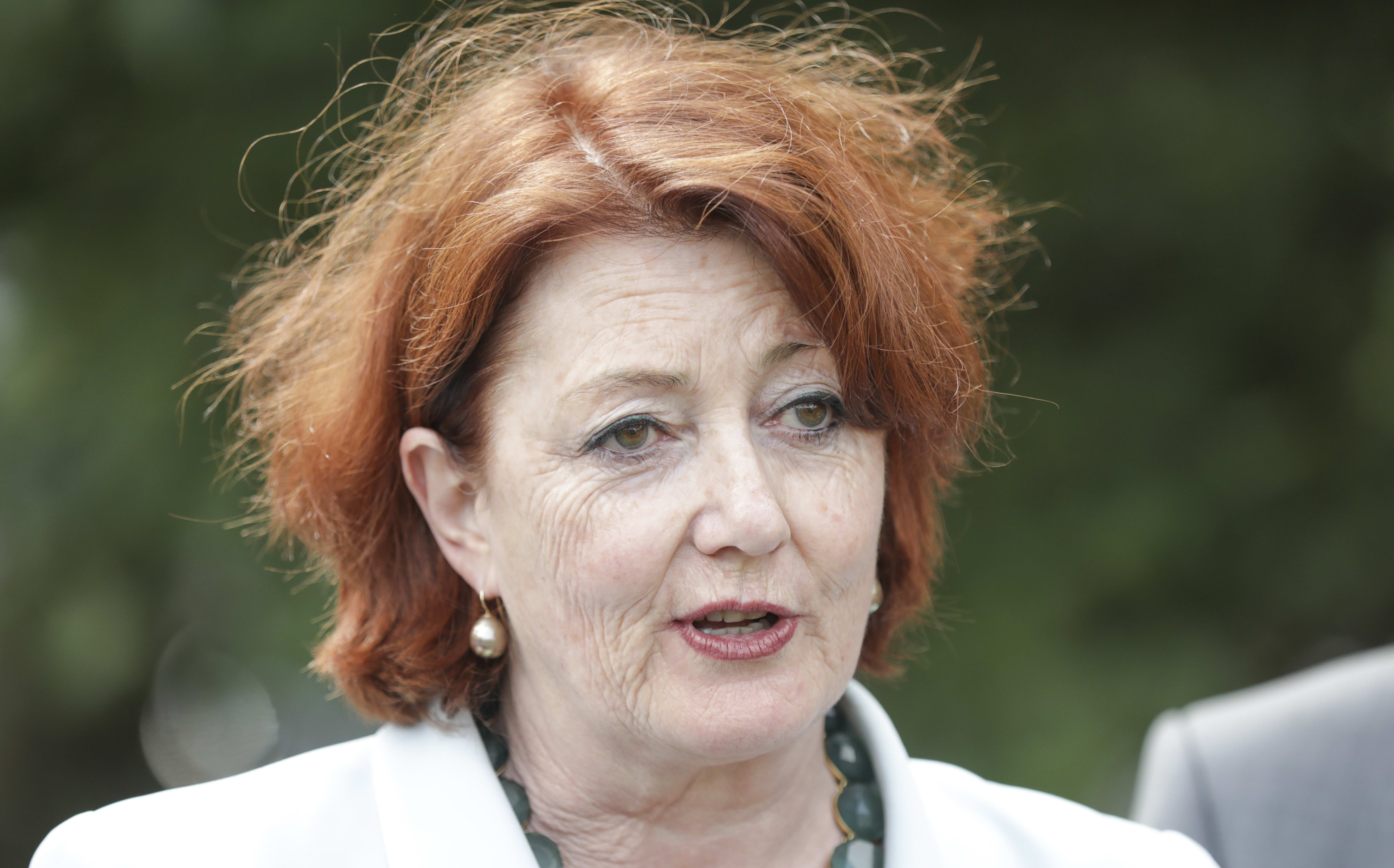 National MP Maggie Barry supports National MP Amy Adams as she announces she will stand for National Party leader.