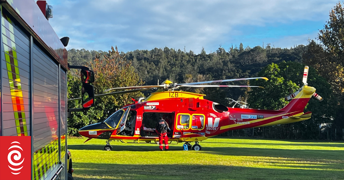 Life-saving services need priority in fuel plan, aviation sector says